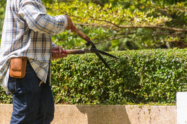 Garden Maintenance North Feltham, East Bedfont, TW14
